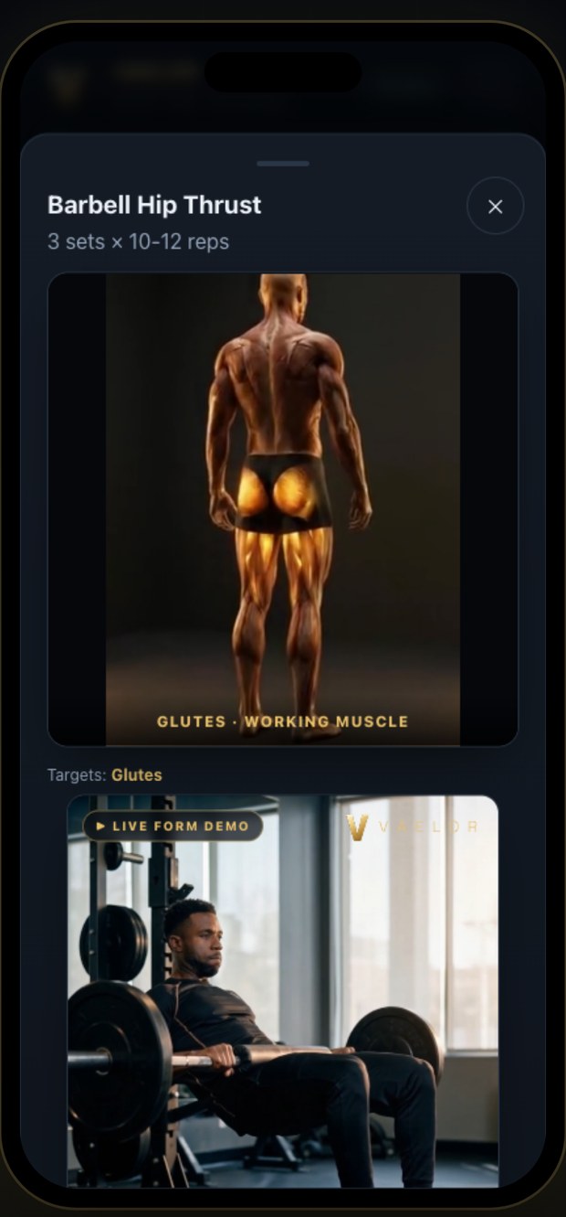 Vaelor app screen — See the muscles you train